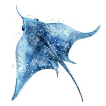Stingray Water Color Style,isolate On White,Clip Art