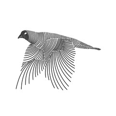Wall Mural - Simple line art illustration of a dove 1