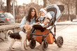 Happy Caucasian young woman walking in the park with her one-year-old daughter in buggy.The child and the mother are looking at the dog.Family concept.Happy motherhood. Healthy lifestyle.