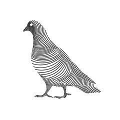Wall Mural - Simple line art illustration of a dove 3