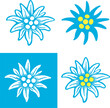 Edelweiss flower alps logo symbol