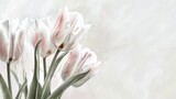 Fototapeta Tulipany - Watercolor Painting of Tulips on the Corners and Margins - White Tulips with Pink Inlays and Pointed Tips - Big Brushstrokes Impressionist Style Tulips Wallpaper created with Generative AI Technology