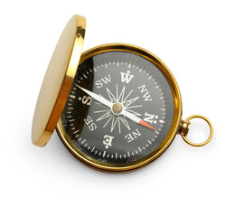 Wall Mural - Golden vintage compass