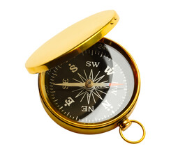 Wall Mural - Golden vintage compass
