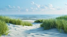 Sunny Beach Dunes With Tall Grass Waving In The Summer Breeze