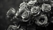 © PRI - Noir elegance captured in monochrome roses clustered in a timeless bouquet