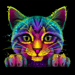 Wall Mural - abstract, multicolored portrait of a smooth-haired cat in watercolor style on a black background.