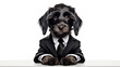 A cute black dog in a business suit sits at a table on a white background.