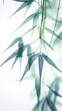 Fototapeta  - Abstract white green bamboo leaves on soft background