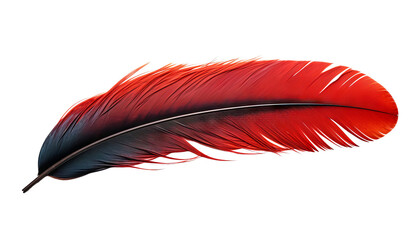 Wall Mural - black with red feather isolated on transparent background cutout