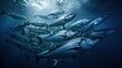 Sea creatures concept, mackerel ,Fish flock in dark ocean water