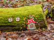 cute toadstool fairy door and windows on a tree trunk in the countryside
