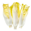 Photo of endive isolated of transparent background
