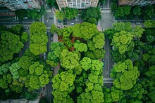 Photograph Vibrant Green Spaces In Urban Environments Highlighting The Intersection Of Nature And City Life