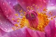 A skilled photographer unveils the delicate details, vibrant colors, and intricate patterns of flowers, creating stunning close-ups that bring the floral world to life.