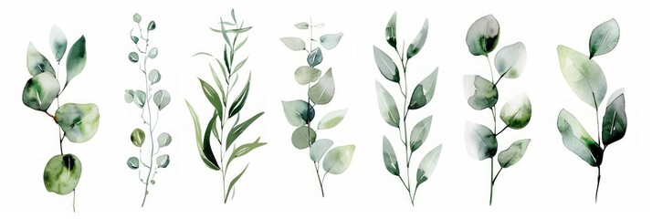 Wall Mural - Green Leaf Branches and Floral Bouquets Watercolor Illustration Set Generative AI