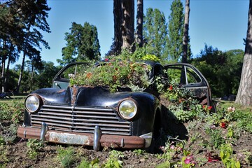 ornamental garden and vintage car in the Vincennes Woods