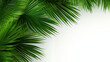 Realistic summer palm leaves on a transparent background. Versatile tropical visuals Generative AI.