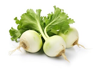 vegetable kohlrabi isolated on white background. concept of farm, healthy food, vegetarianism, veganism