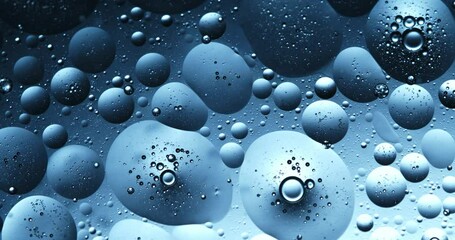 Wall Mural - slow motion macro of floating micro particles molecules in liquid are analyzed with microscope by ch