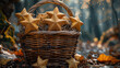 A fabulous basket with stars in fall leaves