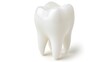 © Anna - a tooth shaped toothbrush holder sitting on top of a white surface with a reflection of the tooth on the top of the tooth.