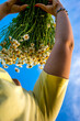 Girl in a chamomile field