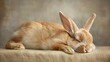 An endearing image of a bunny lying on its side, sleeping peacefully with a content smile. Ideal for gentle Easter message