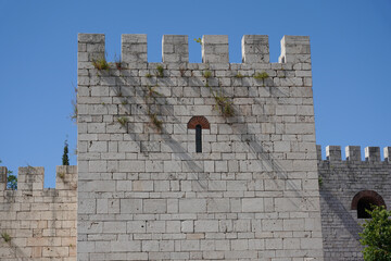 Wall Mural - Castle Walls of Bursa in Turkiye