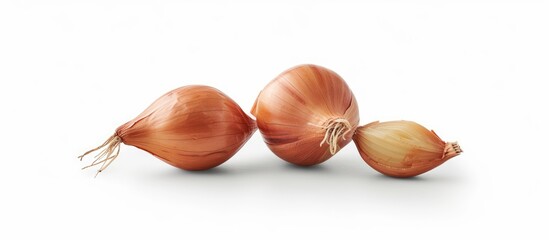 Sticker - Two organic shallots are placed neatly next to each other on a clean white background, showcasing their fresh and flavorful appearance.