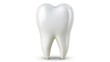 © Olga - a white tooth on a white background with a clipping path to the top of the tooth to the bottom of the tooth.