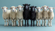 two black sheeps among white sheeps, concept of family rejection