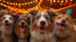 happy group of adorable dogs sticking out tongue and panting