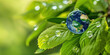 Fresh green leaves with dew drops and a globe, a visual metaphor for Earth Day, suitable for environmental outreach or green initiatives.