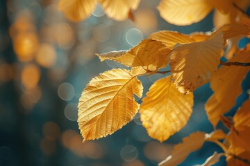 Detailed view of a leaf on a tree, perfect for nature backgrounds
