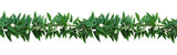 Fototapeta Sypialnia - Horizontal seamless nature border with green leaves twisted vines ivy plant, bunch of skunkvine or Chinese fever vine tropical forest plant