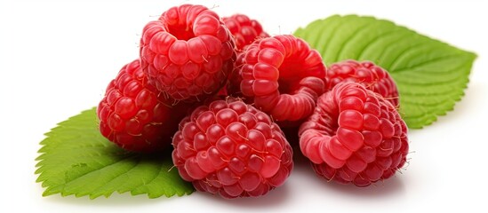 Wall Mural - A group of ripe raspberries is displayed on a white background. The raspberries are vibrant red and are accompanied by green leaves.