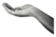 © Oleksandr Yashchuk - open hand palm facing upwards gesture sign isolated retro black white halftone dotted texture vintage collage element for mixed media design