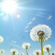 A field of dandelions with the sun shining brightly on them