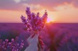 Beautiful lavender field at sunset. slow motion. Background. screensaver. soothing footage. concept of love for nature. relaxation. beauty. lifestyle. bouquet of flowers in hand. abstraction