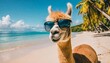 hilarious animal summer holiday vacation photography banner background close up of a laid back alpaca donning sunglasses leisurely relaxing on a tropical ocean beach
