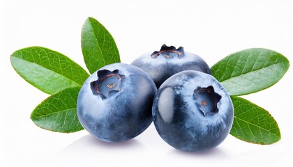 Wall Mural - blueberry fruits with leaf branches isolated on a transparent background