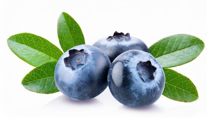 Poster - blueberry fruits with leaf branches isolated on a transparent background