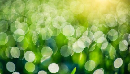 Wall Mural - abstract green bokeh background