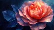 Beautiful pink rose on a dark blue background. 3d rendering, macro