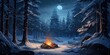 web banner of campfire in winter forest
