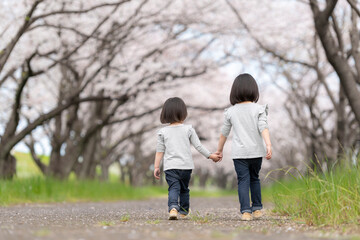 Canvas Print - 桜並木の公園で遊んでいる姉妹