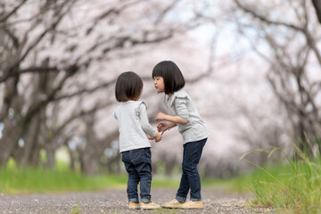 Canvas Print - 桜並木の公園で遊んでいる姉妹