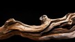 © Tati - A dramatic piece of driftwood emerges against a stark black background