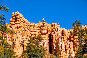 Wall Mural - Scenic views from Queens Garden Trail at Bryce Canyon National Park.